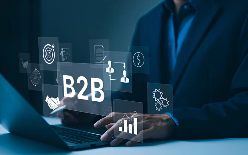 B2C eCommerce Website